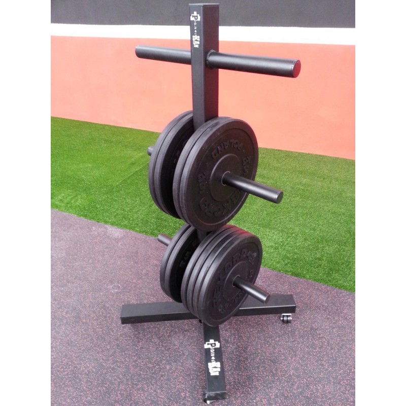  EnweLampi - Soporte para discos de pesas, placa olímpica de  disco de peso y barra de pesas, soporte para gimnasio, entrenamiento en  casa y gimnasio de oficina, accesorios de fitness verticales